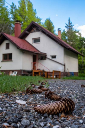House Angelca Hočko Pohorje